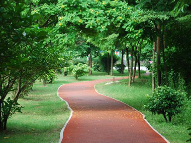 Jogging Area